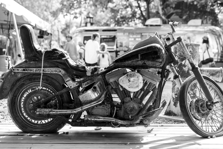 Rough Rider — Florida Keys