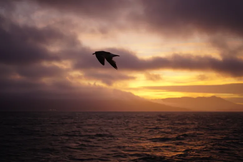 Passage — San Francisco Bay